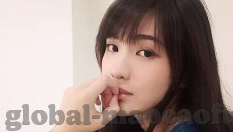 埃尔夫斯堡足球比分-埃尔夫斯堡，绿茵场上的比分传奇与荣耀征程