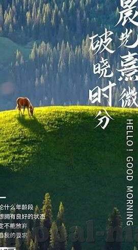 足球比分率是多少-探秘足球比分率，数据背后的竞技密码